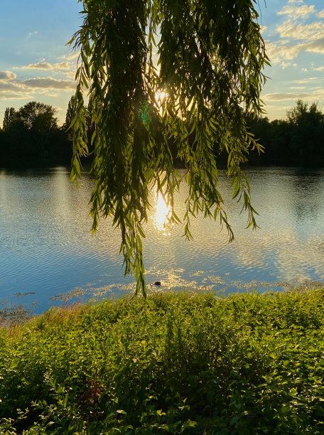 宁静的自然界图片下载