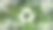 美丽的原始丛林中，一个回收标志。图片下载