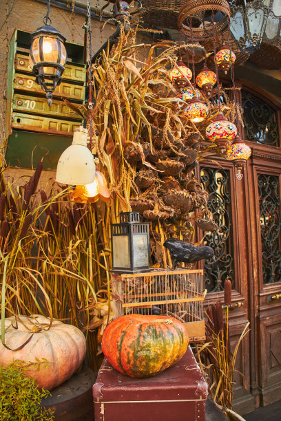 咖啡厅入口装饰成万圣节风格，有漂亮的南瓜、干花、乌鸦和古董图片下载