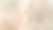 白羊毛大衣。摘要软背景。羊的羊毛。自然的产品。图片下载