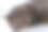 白底上一只睡着的猫的特写照片图片下载