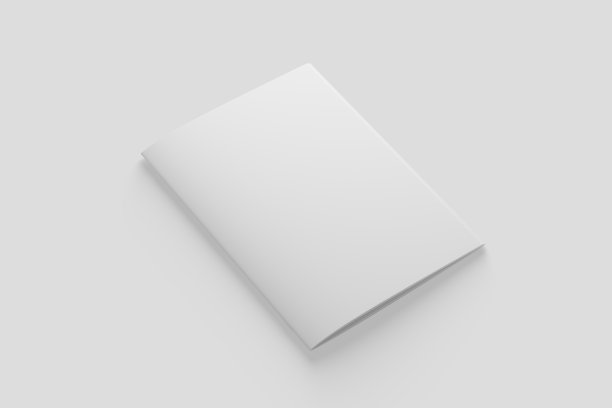 A4 A5杂志宣传册3D渲染白空白模型图片下载