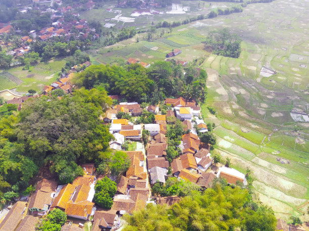 住宅区周围是大片的稻田图片下载