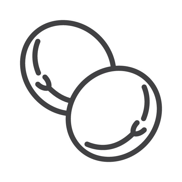 扁豆种子线图标图片下载