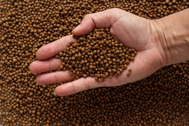 将植物和动物的细蛋白粉混合成颗粒的动物饲料作为宠物食品，因为颗粒的饲养量方便和准确。副本的空间背景图片下载