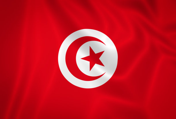 挥舞突尼斯国旗的插图图片下载