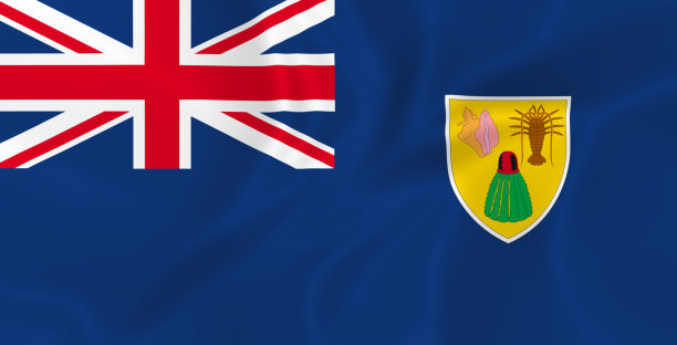 插图挥舞着特克斯和凯科群岛国旗图片下载