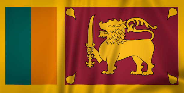 挥舞着斯里兰卡国旗的插图图片下载