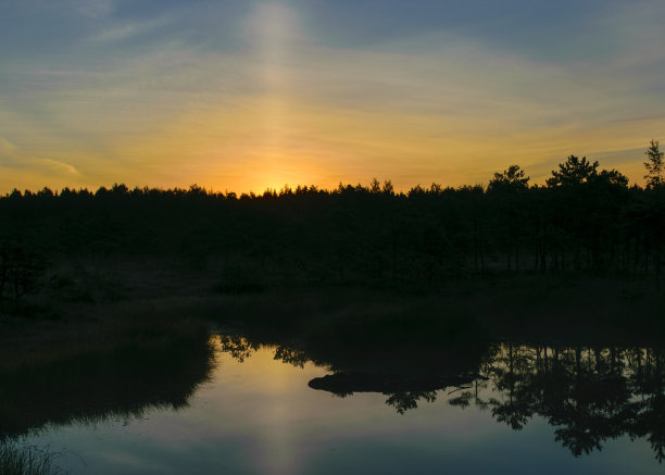 树的黑色剪影在背光，惊人的日出照片与绚丽的天空，沼泽在日出，沼泽神奇的早晨图片下载