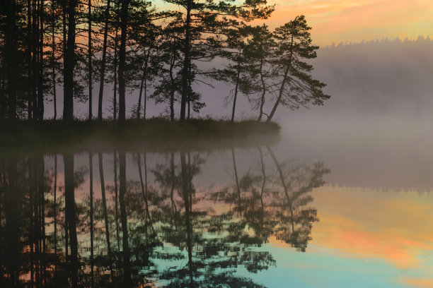 这是一张美妙的日出照片，天空绚丽，雾覆盖着湖面，树木的黑色剪影图片下载