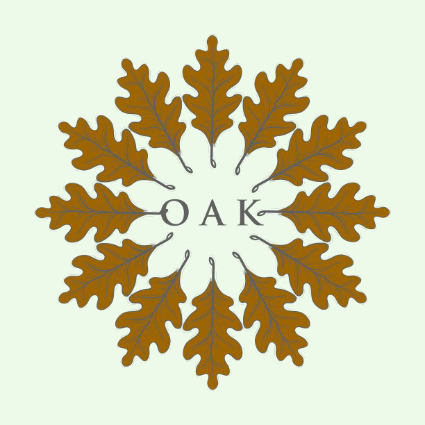 橡树的叶子。秋矢物体孤立于白十二上图片下载