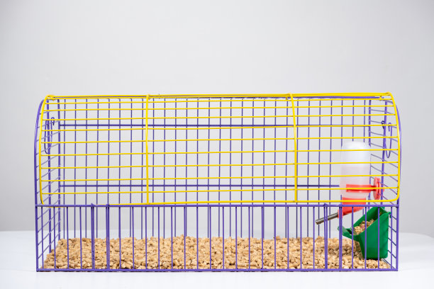 豚鼠笼喂食器，饮料瓶和木材填料在白色背景。图片下载