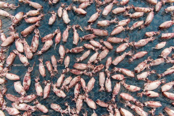 泰国海鲜市场的鱿鱼干或章鱼干图片下载