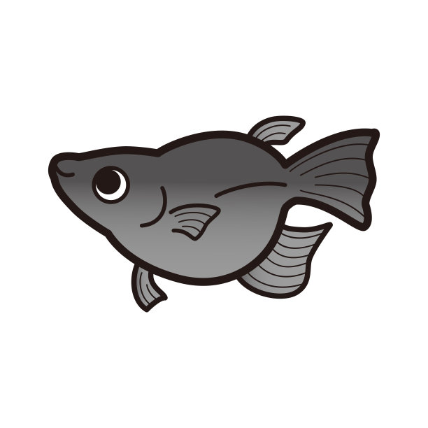 图解一个简单的达摩鳉鱼图片下载