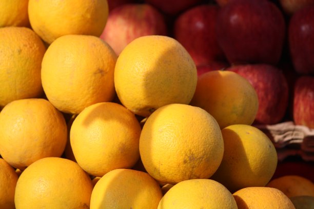 新鲜橙图片下载