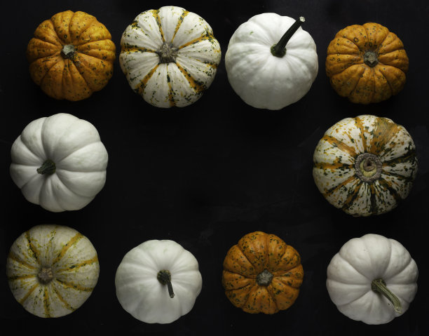 黑色背景的南瓜框架图片下载