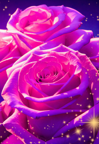 花卉背景，精致的玫瑰花蕾。礼物，婚礼，情人节，生日的背景。三维渲染图片下载