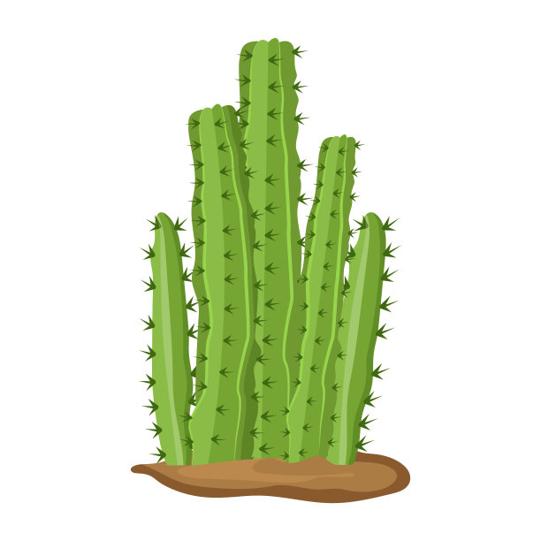 仙人掌植物平面插画，可编辑设计图片下载
