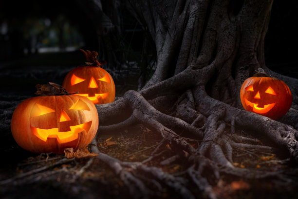 万圣节的场景，杰克灯在神秘的森林里。图片下载
