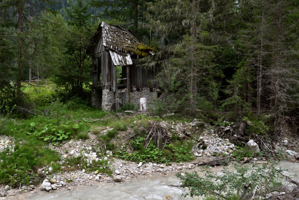 树林里的建筑废墟图片下载