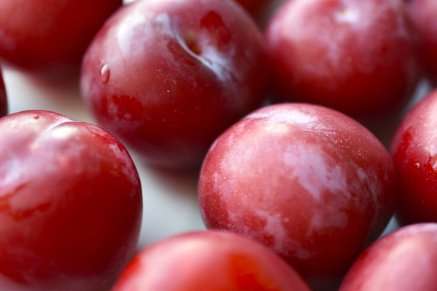 白色背景上鲜红多汁的李子图片下载