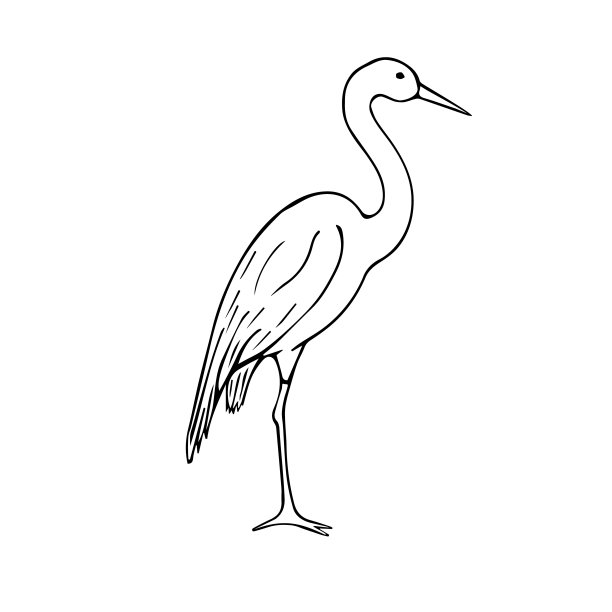 矢量手绘涂鸦素描苍鹭图片下载