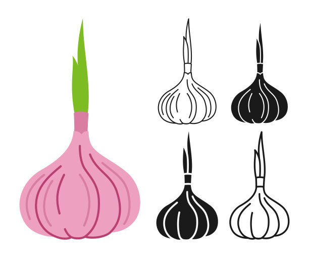 大蒜香料卡通线性符号集涂鸦风格剪影辣调味品蔬菜图标设计图片下载