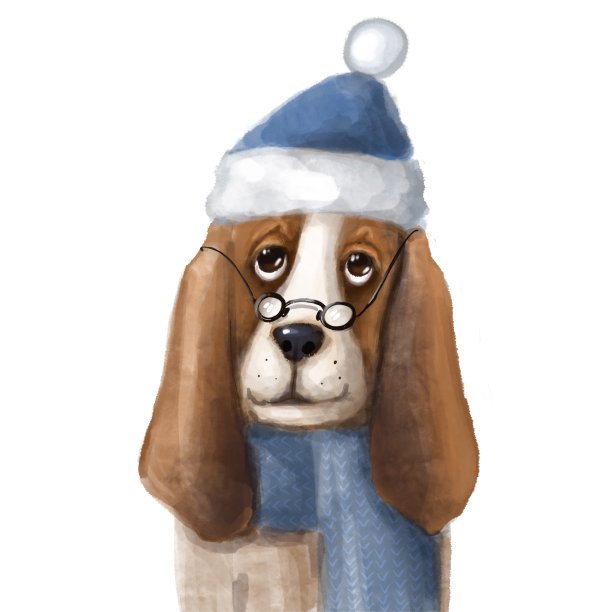 戴着围巾和眼镜的可爱巴吉特猎犬肖像图片下载