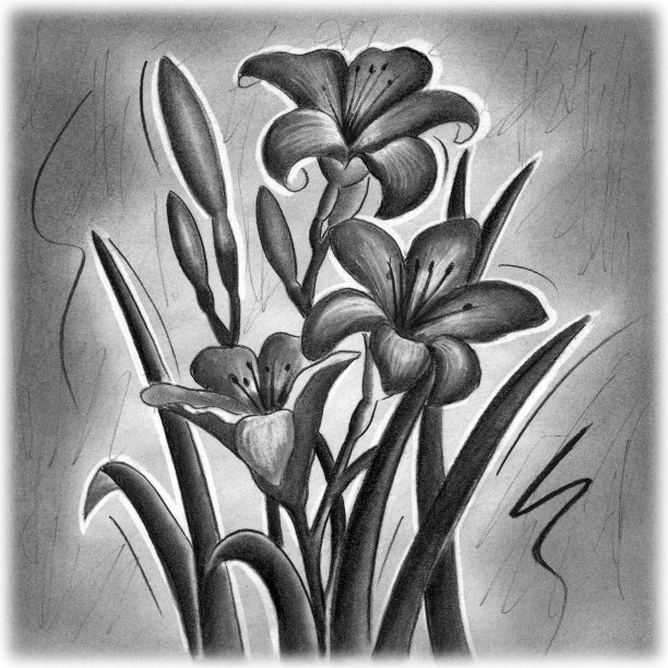 莉莉花图片下载