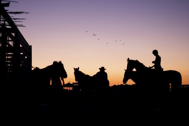 《黄昏》中的马的剪影。图片下载