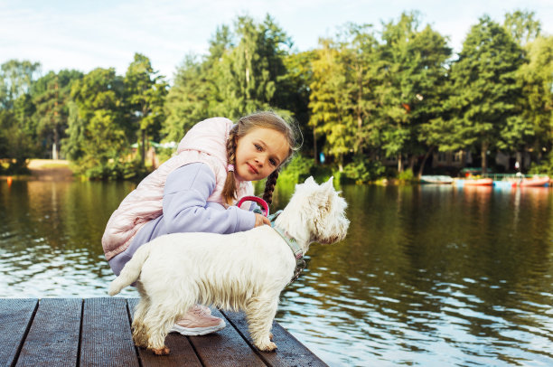 一个扎着小辫子的女孩逗着一只小白狗开心地笑着。图片下载