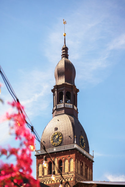 一个开着粉红色花朵的教堂图片下载