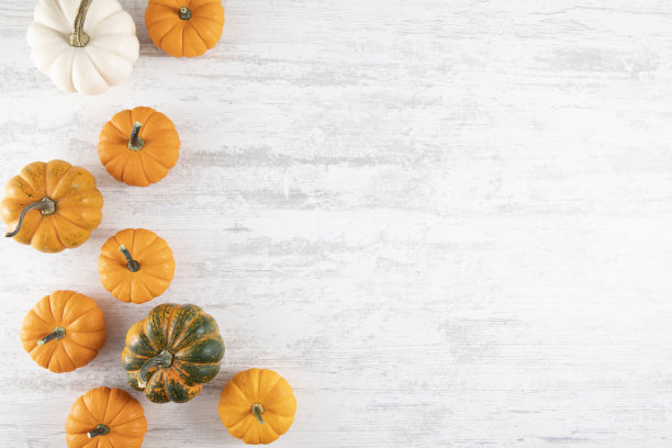 秋季和假期背景素材图片