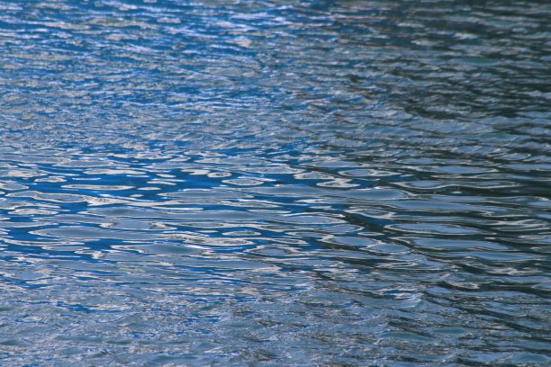 水文摘图片下载