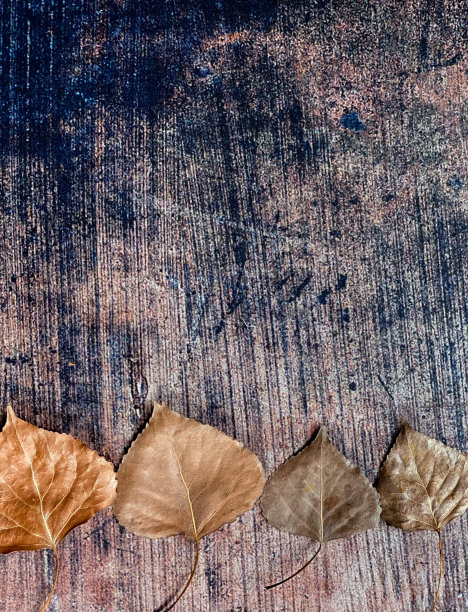 背景是秋天的树叶图片下载