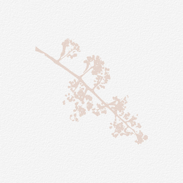 精致的水彩植物数字纸花背景在柔软的基本裸米色色调。中性优雅的白色有机纸图案纹理图片下载