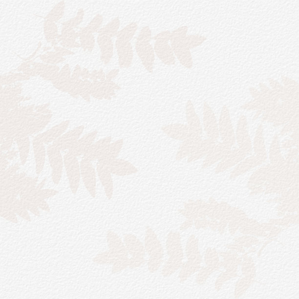 精致的水彩植物数字纸花背景在柔软的基本裸米色色调。中性优雅的白色有机纸图案纹理图片下载