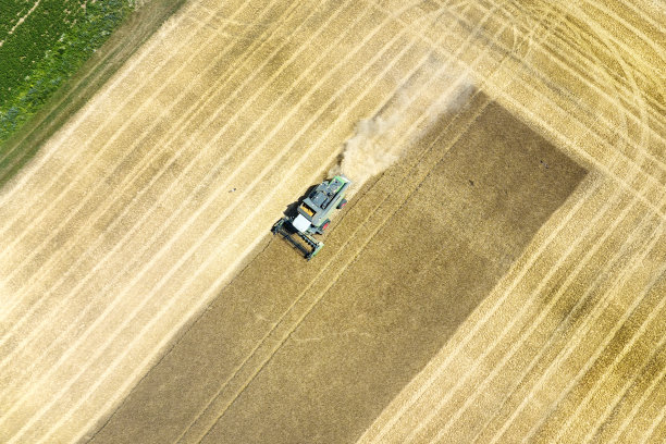 小麦田收割，尘土飞扬 - 鸟瞰图图片下载