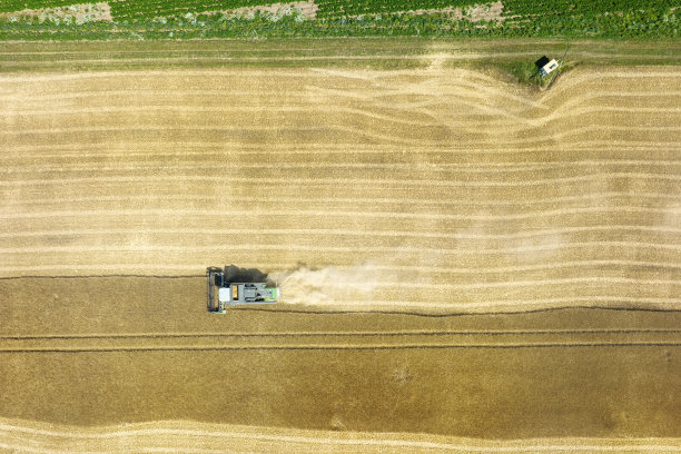 小麦田收割，尘土飞扬 - 鸟瞰图图片下载