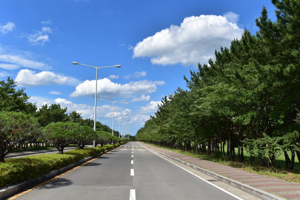 柏油马路和路边树木，蓝天背景图片下载