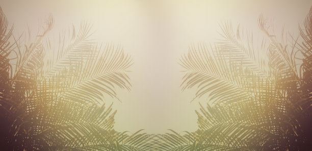 暑假和自然旅游的冒险概念。图片下载