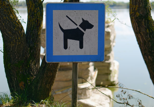 金属杆上的“拴狗带”标志的特写照片图片下载