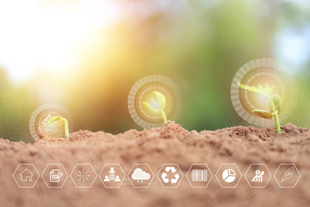 企业观念成长，树木自然生长图片下载