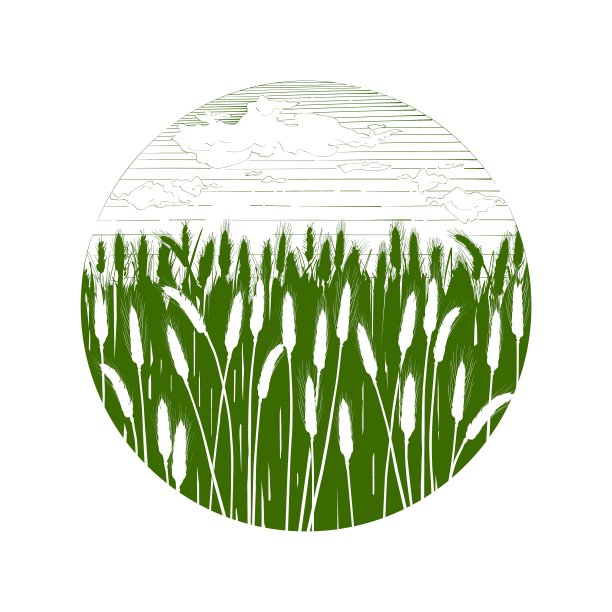 领域的小麦。耳朵的麦片。农村景观全景。手绘黑色剪影插图。农村雕刻图片下载