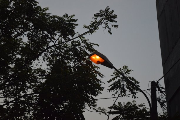 晚上亮着的路灯图片下载