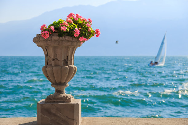 典型的花盆花在美丽的加尔达和科莫湖。意大利。图片下载