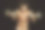 年轻有吸引力的运动员与哑铃。男性运动身体。图片下载
