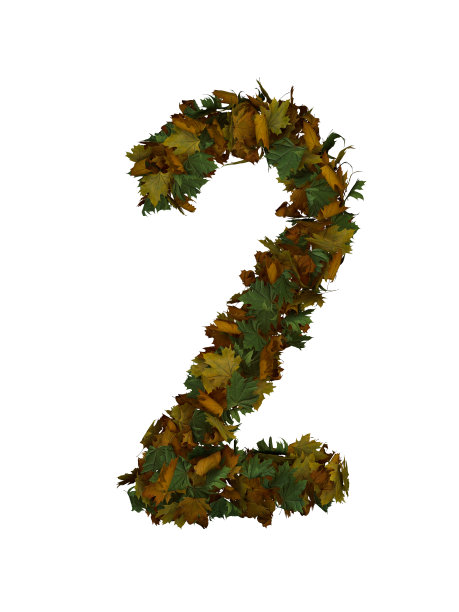 用秋叶字体制作的文本图片下载