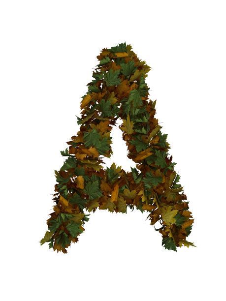 用秋叶字体制作的文本图片下载