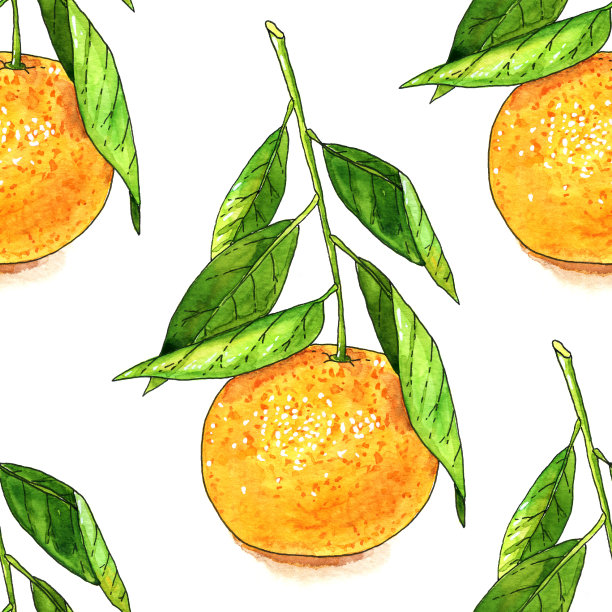 橘果无缝图案图片下载